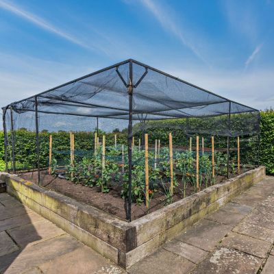 Raised Planting