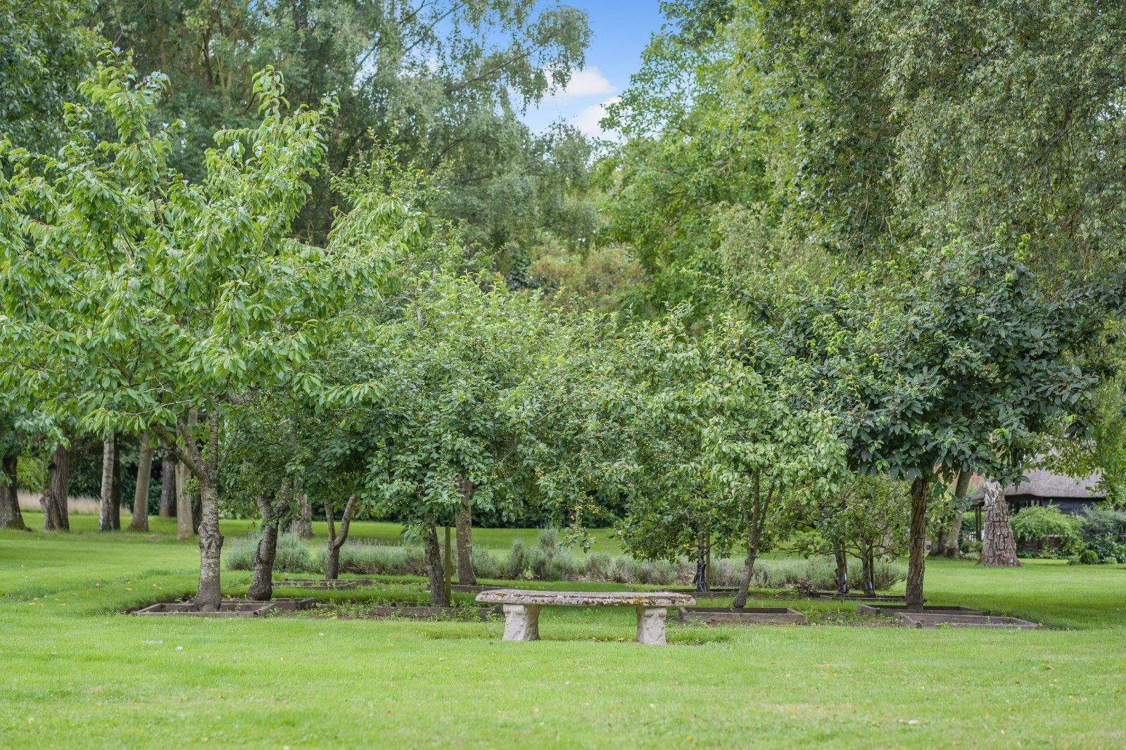 Grounds