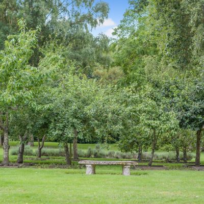 Grounds