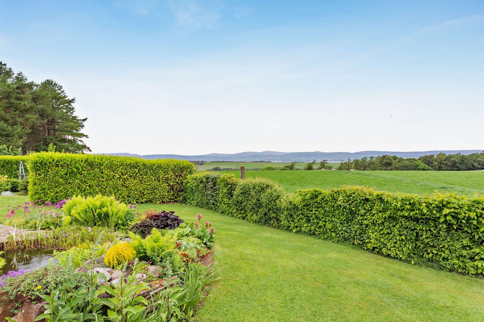 Firth View