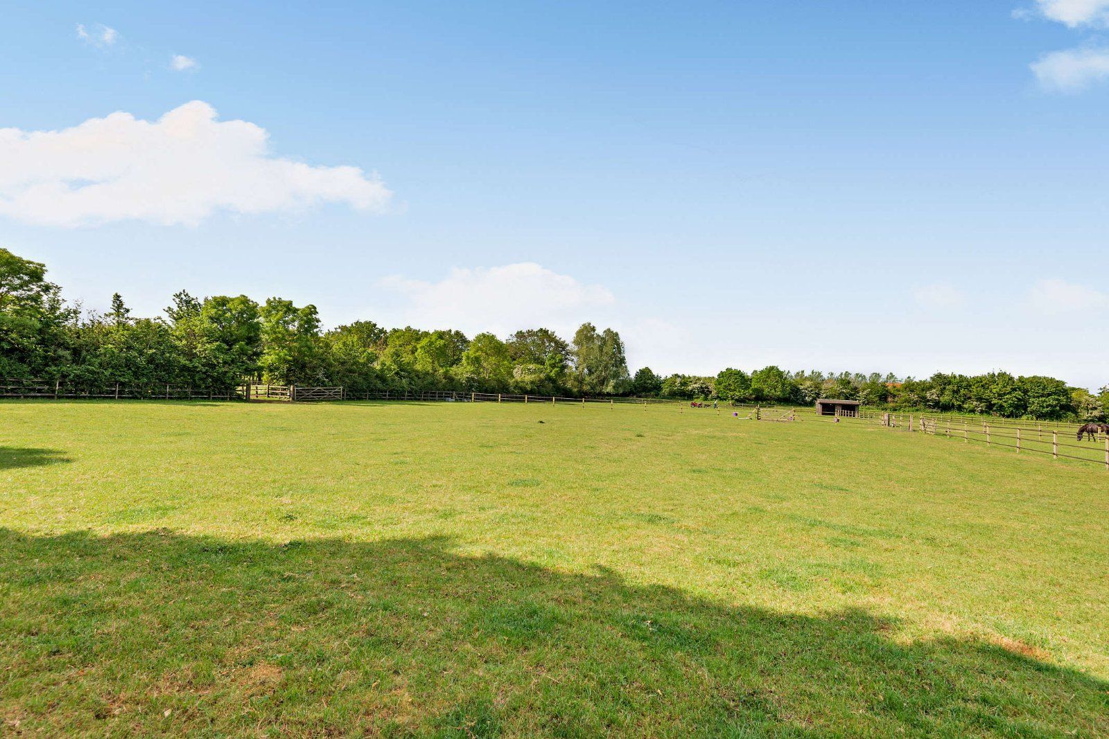 Grounds