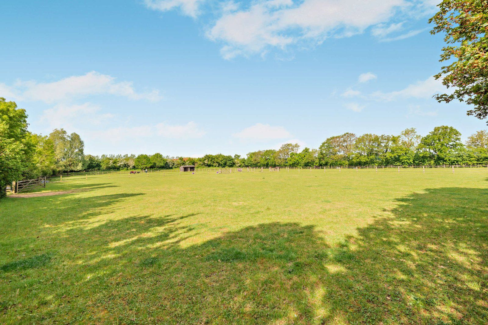 Grounds