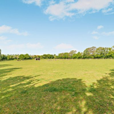 Grounds