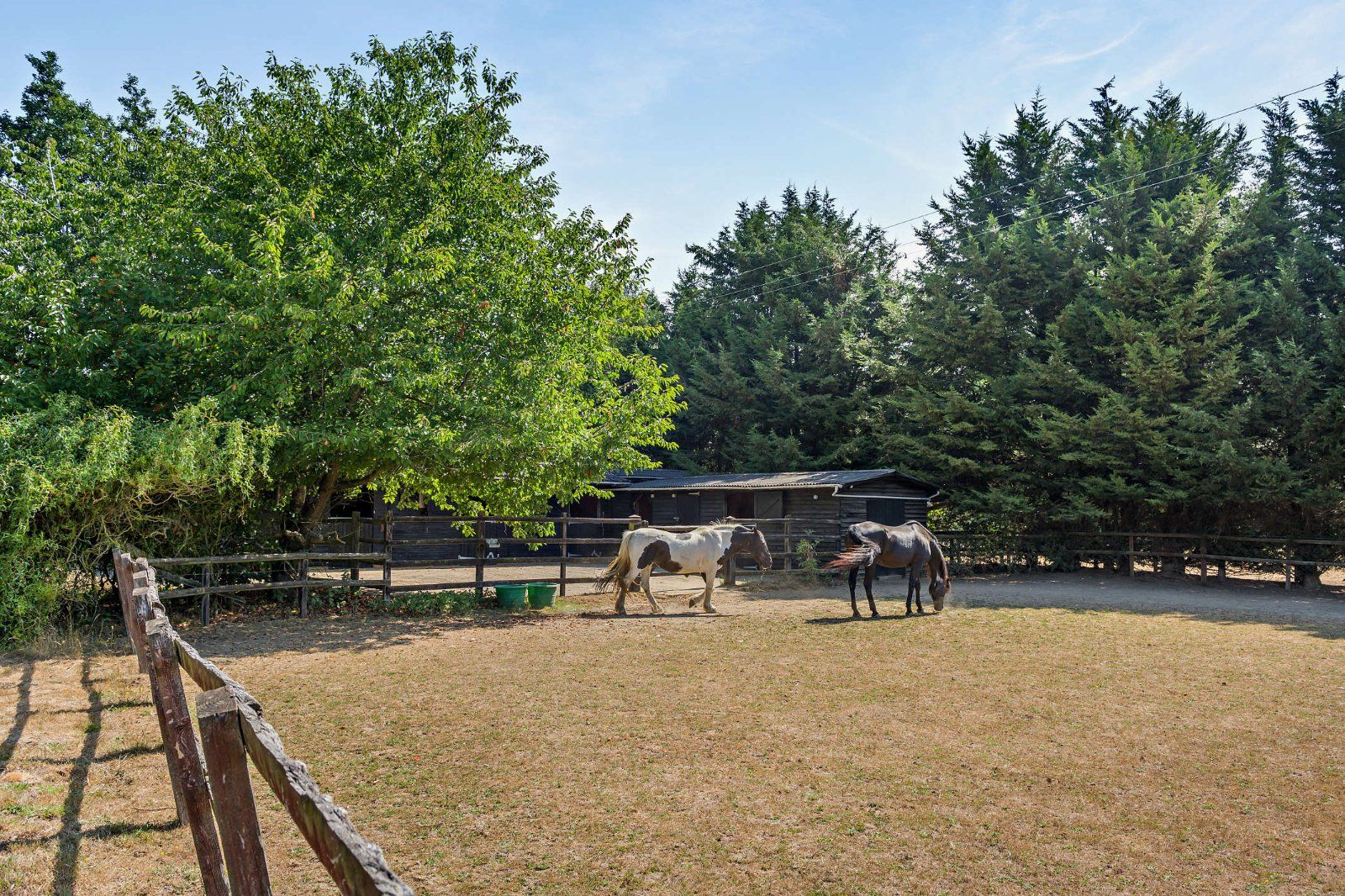 Paddocks