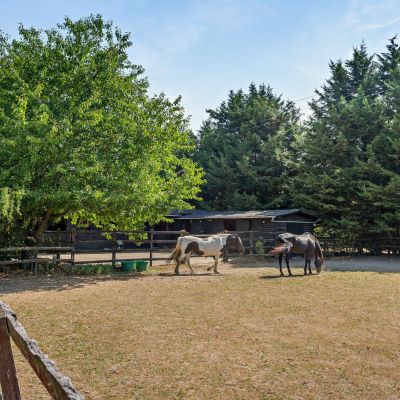 Paddocks
