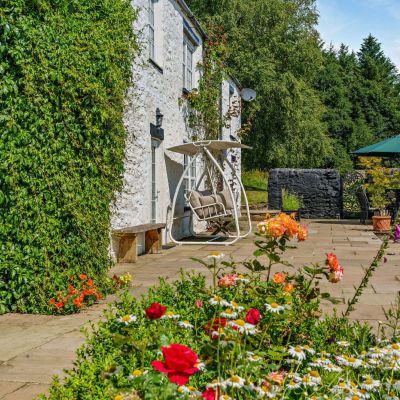 Summer Garden