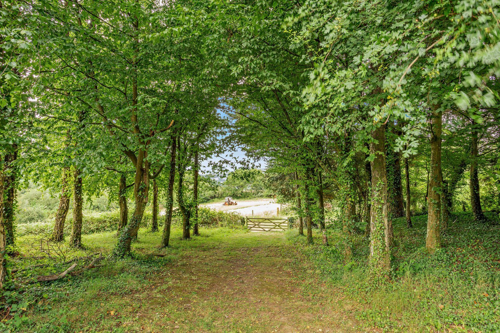 Grounds