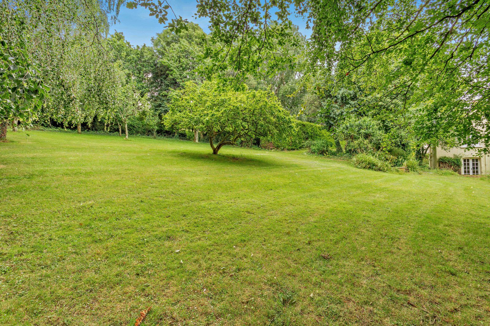 Grounds