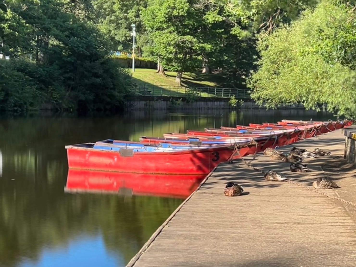 Boating On The River