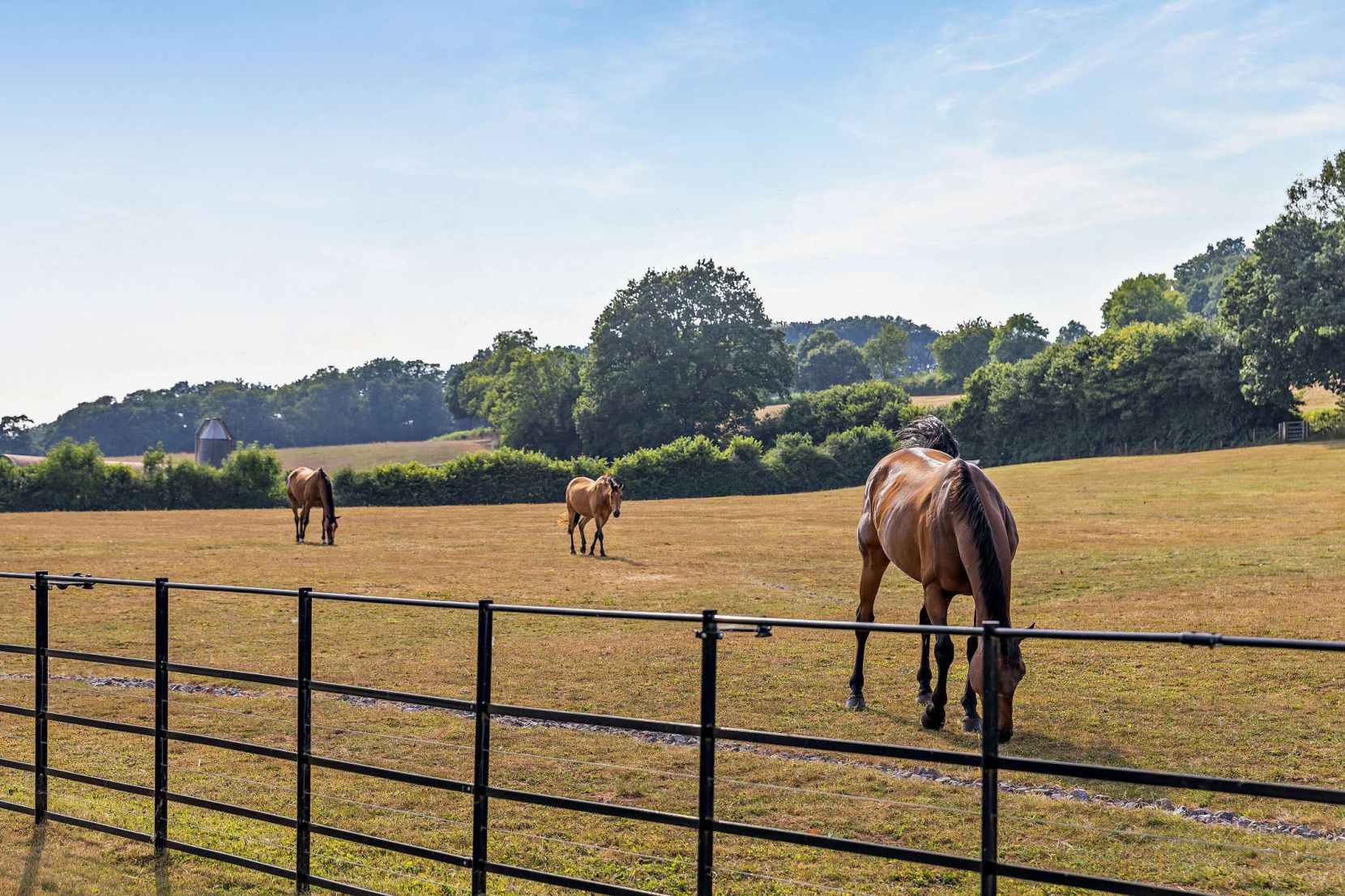 Grounds