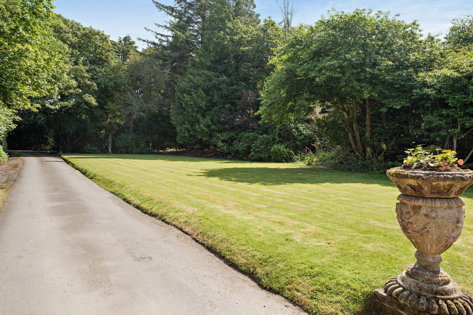 Driveway