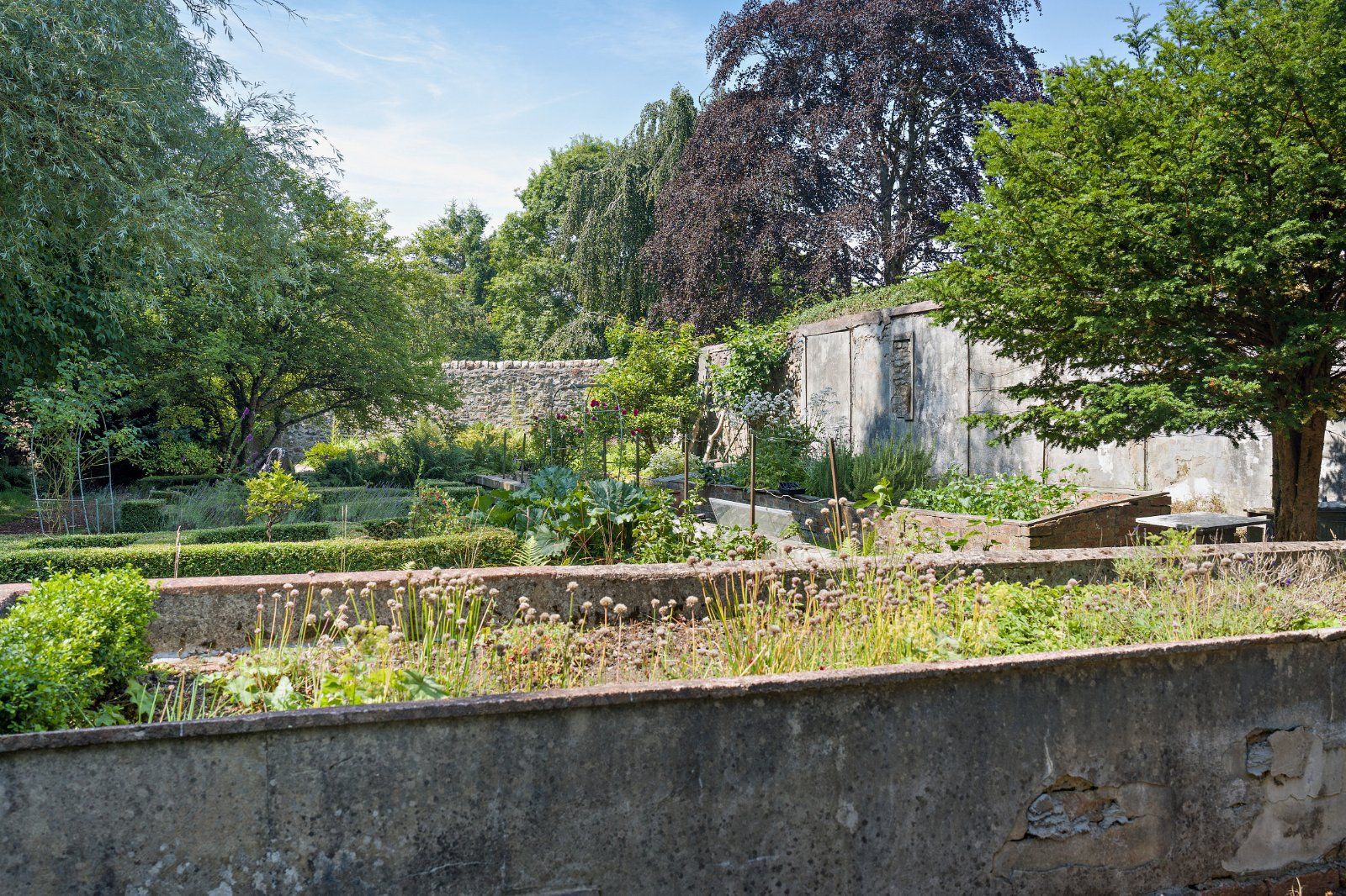 Raised Garden Beds