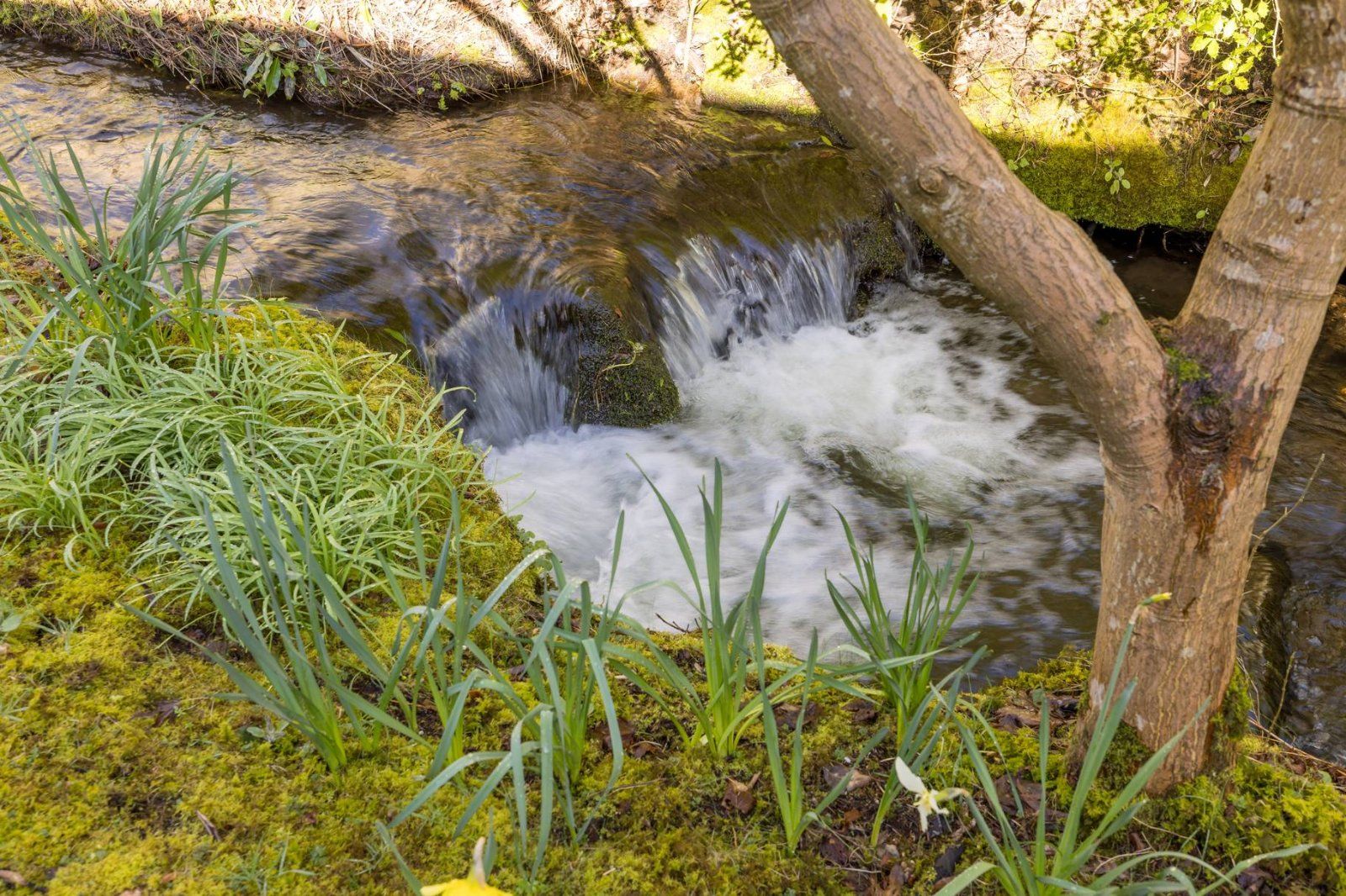 Bonaly Burn