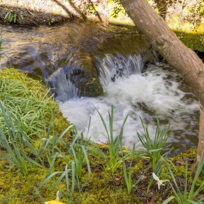Bonaly Burn