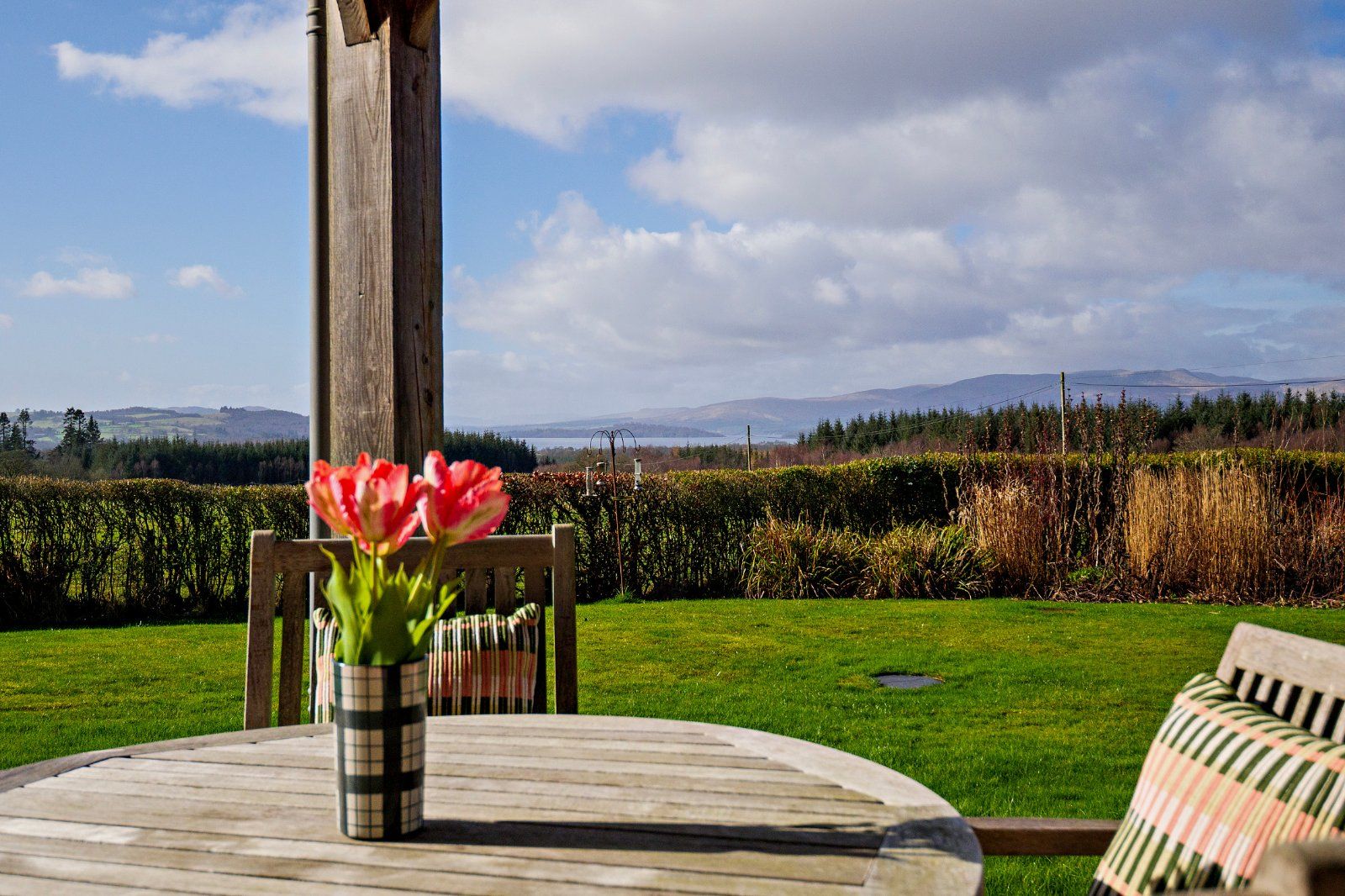 Loch Lomond View