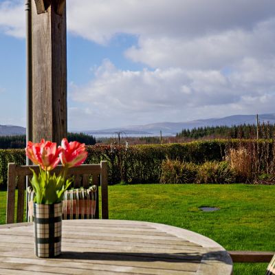 Loch Lomond View