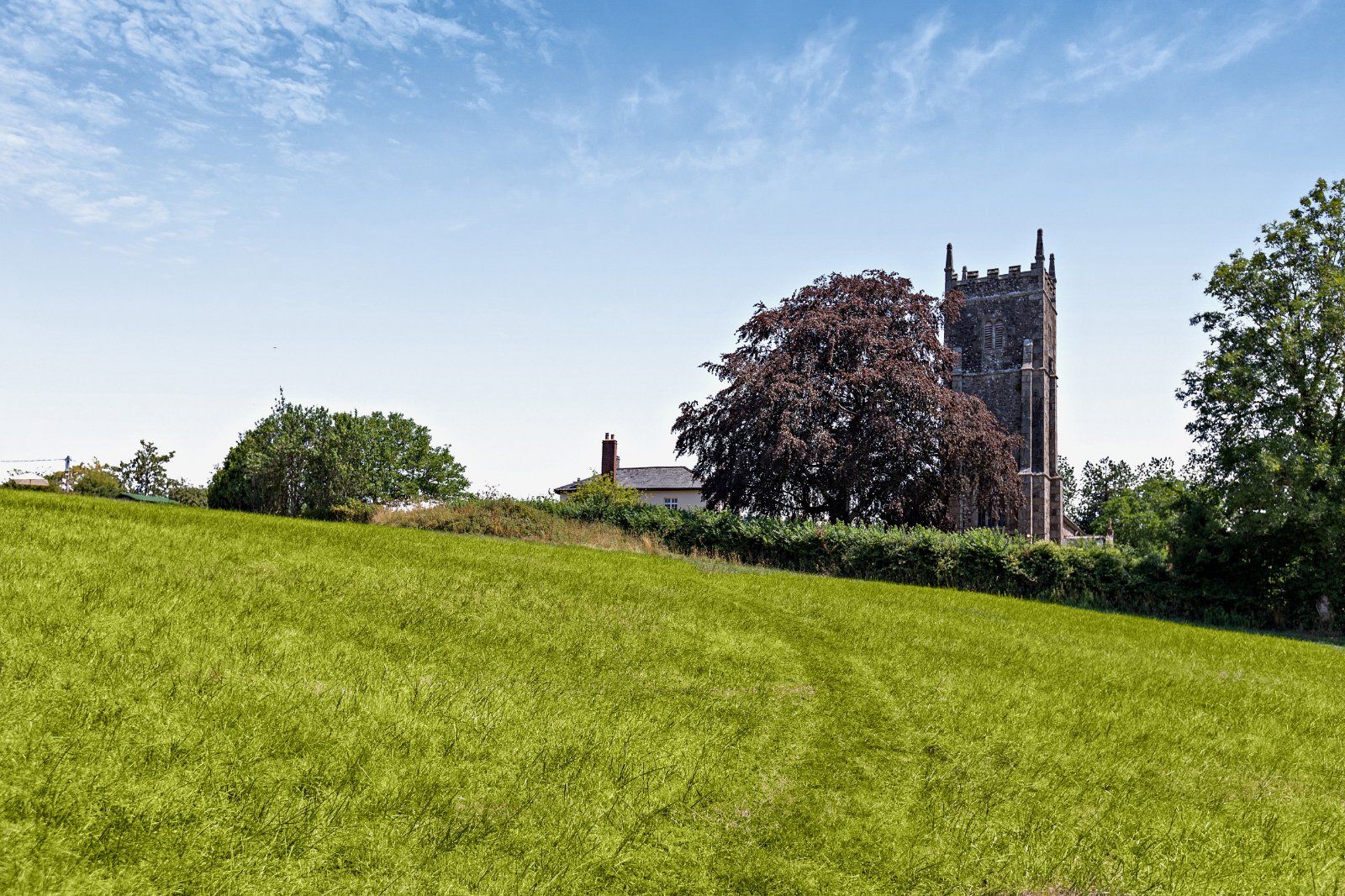 Grounds