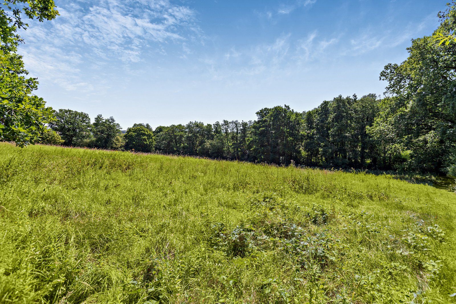 Grounds