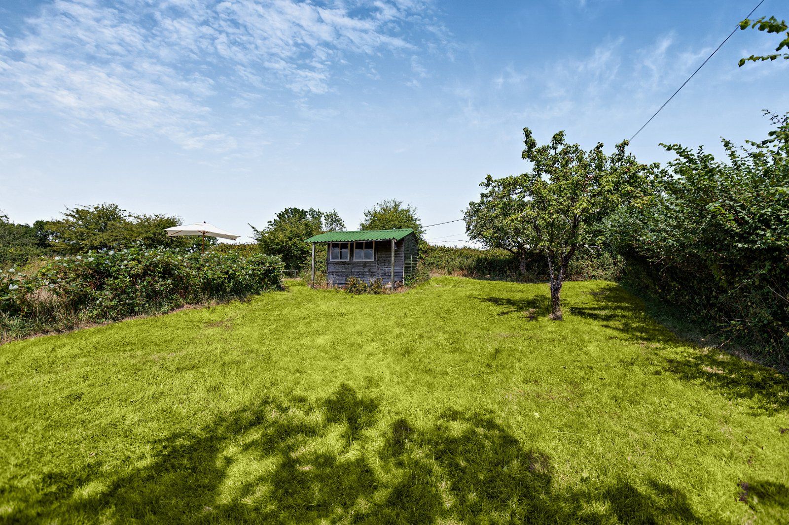 Grounds
