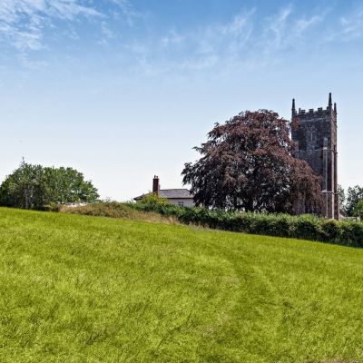 Grounds