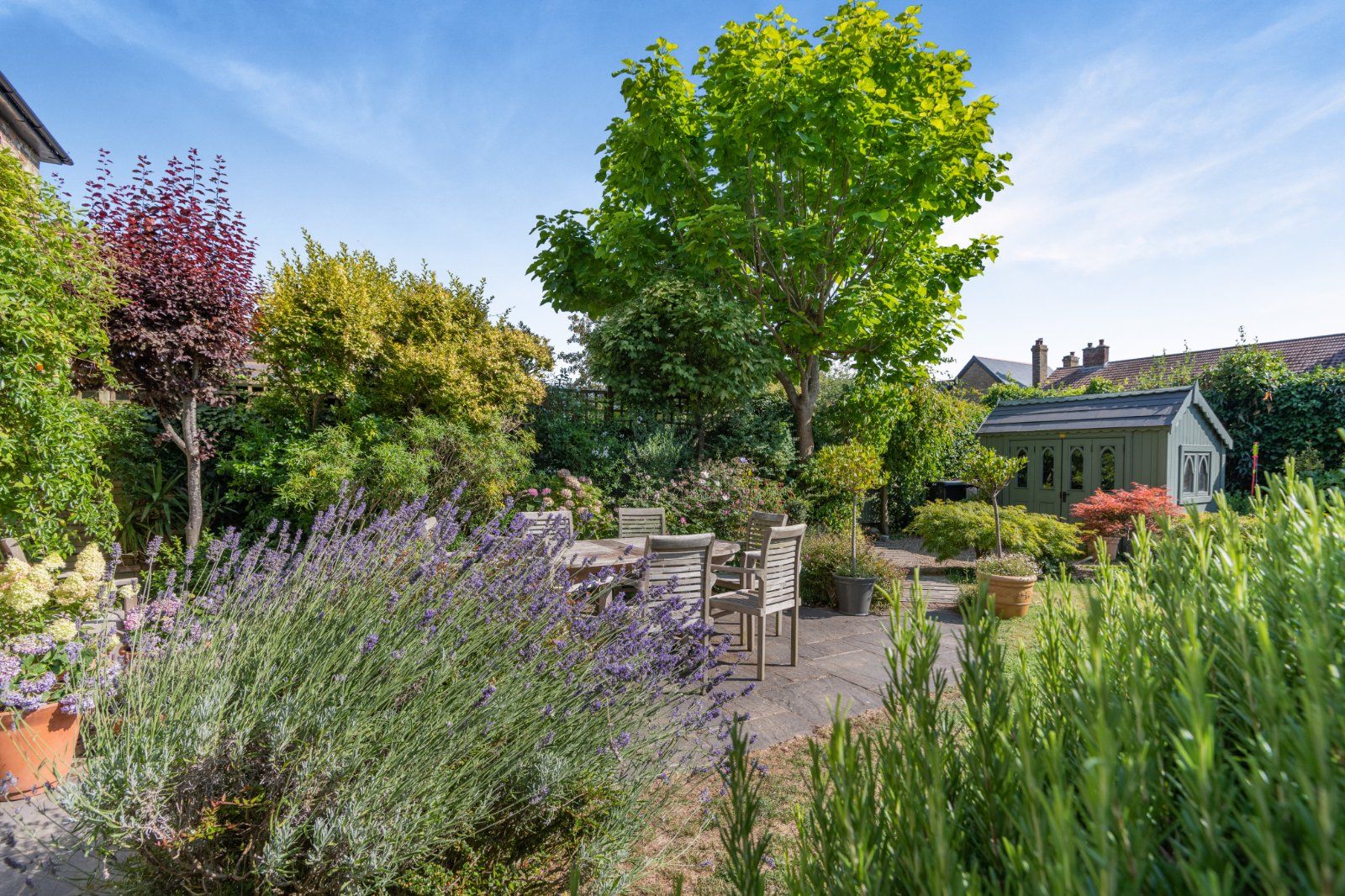 Garden