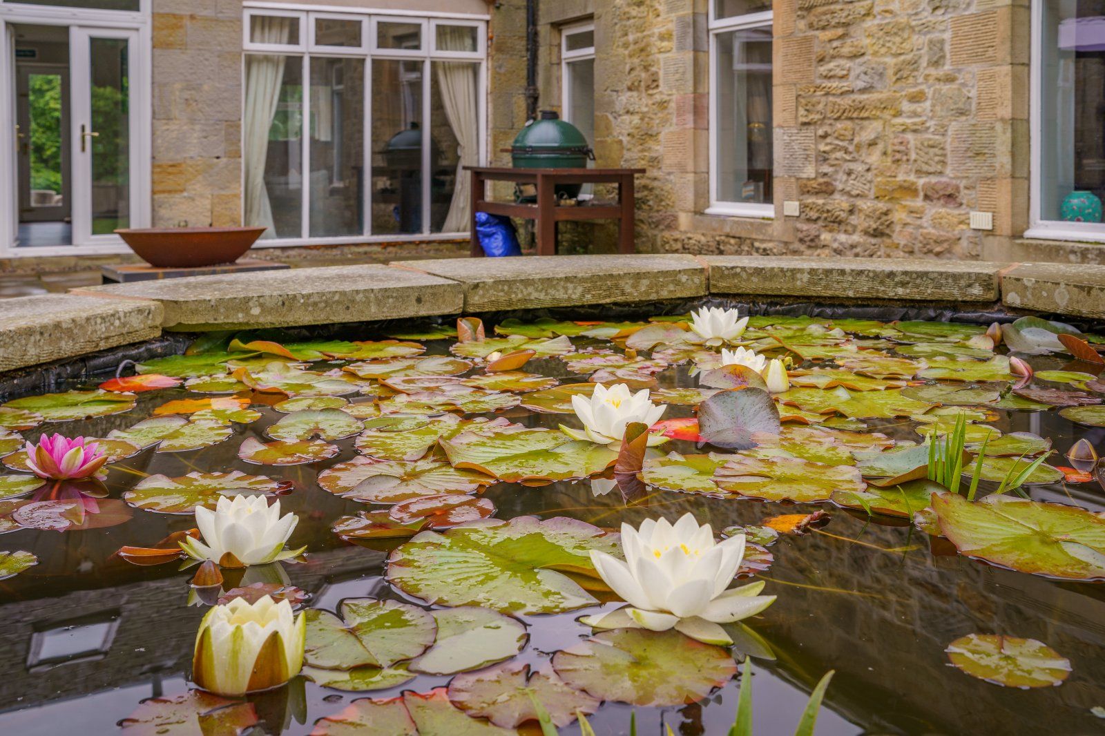 Courtyard View