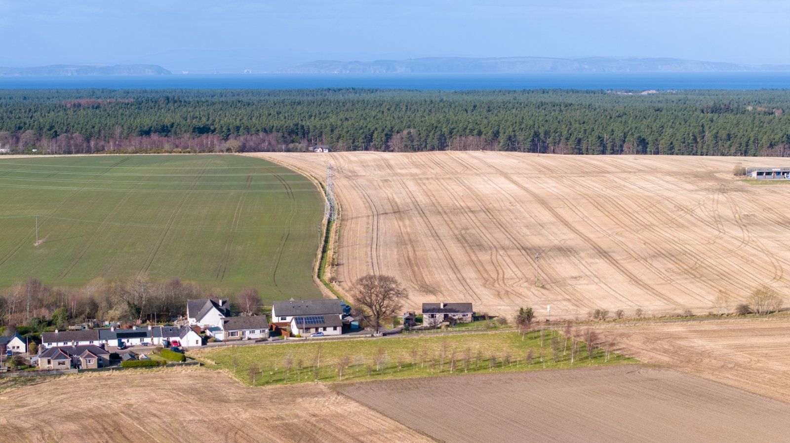 The Firs - Plot 1