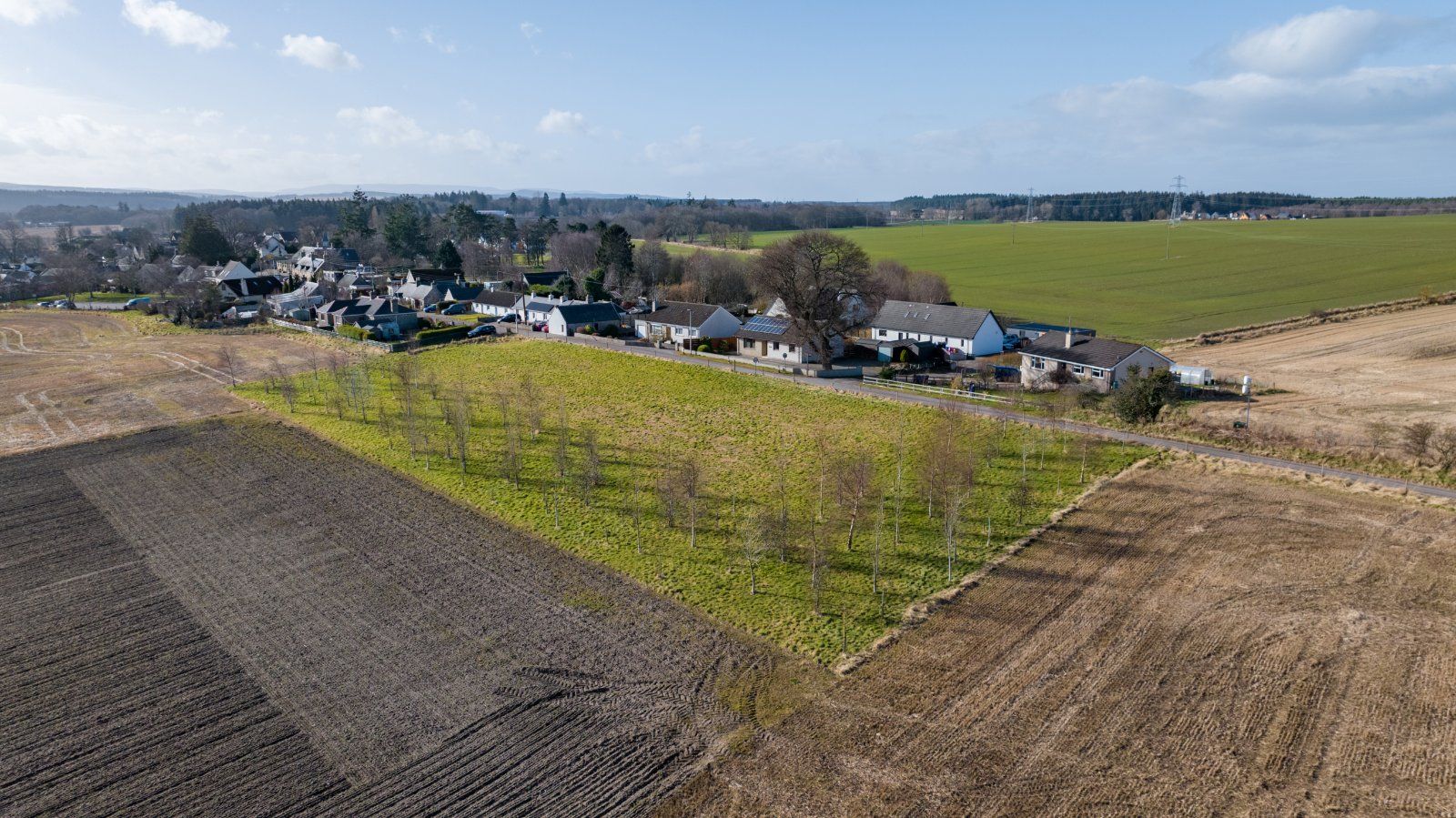 The Firs - Plot 1