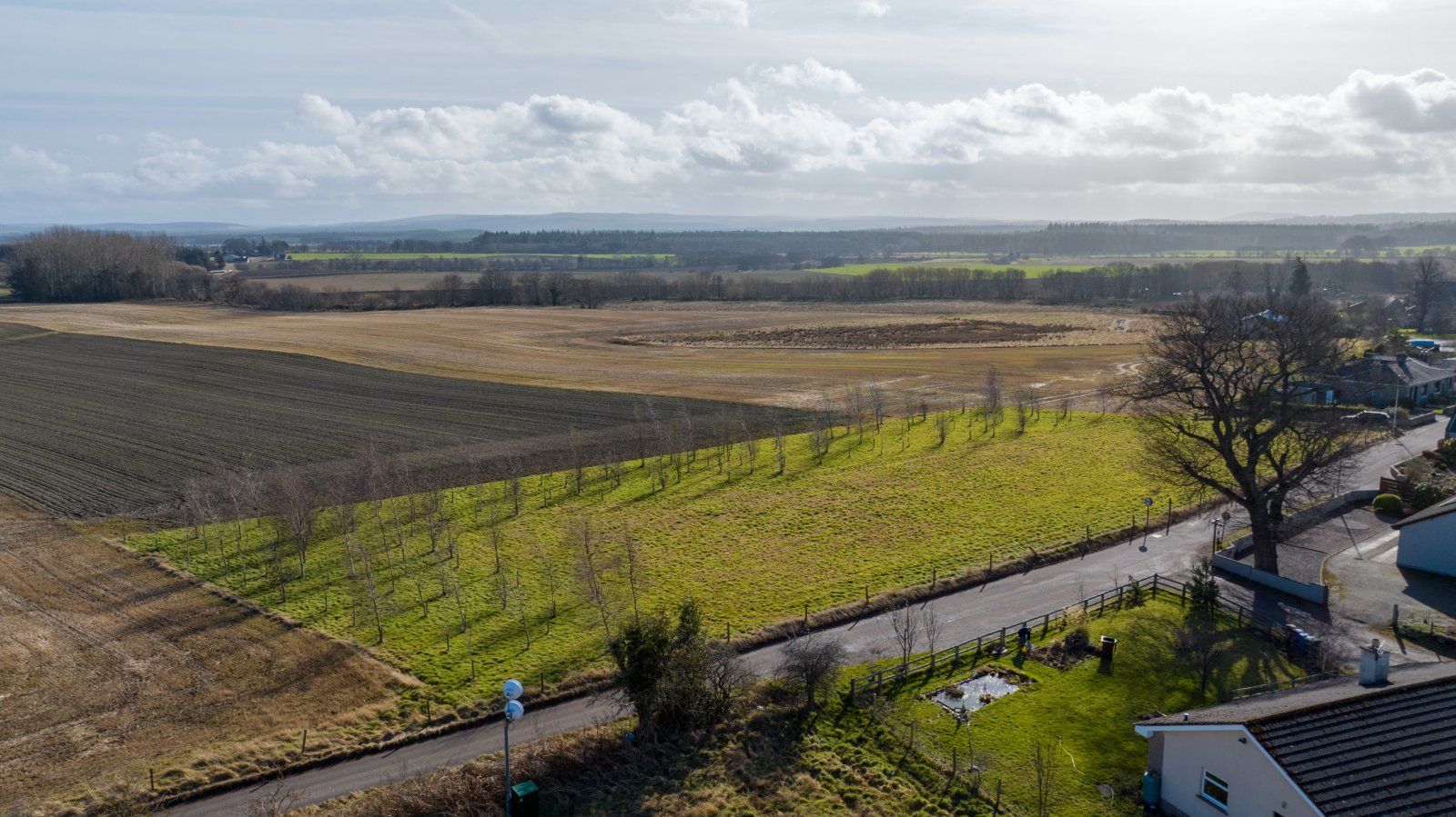 The Firs - Plot 1