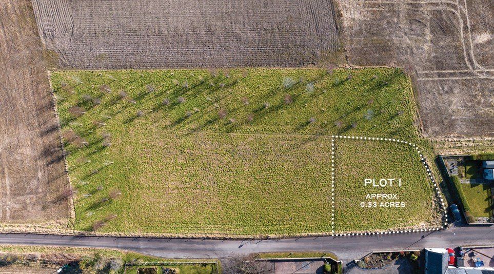 The Firs - Plot 1