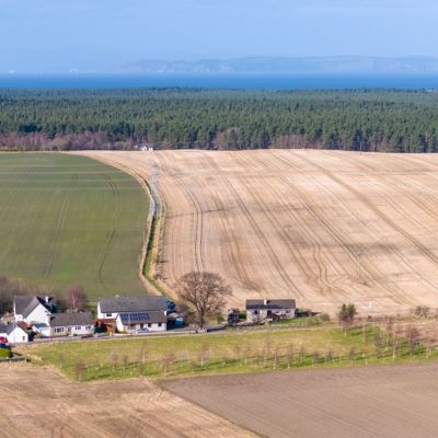 The Firs - Plot 1