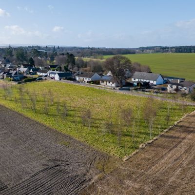 The Firs - Plot 1