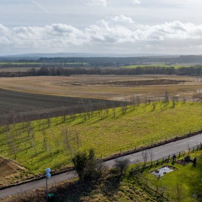 The Firs - Plot 1