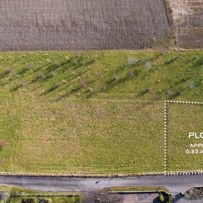 The Firs - Plot 1