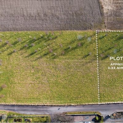 The Firs -Plot 1