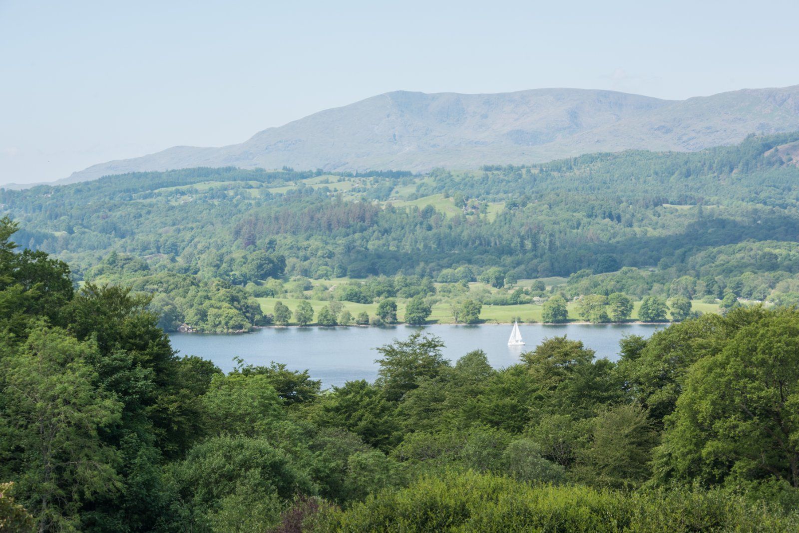 Windermere Views
