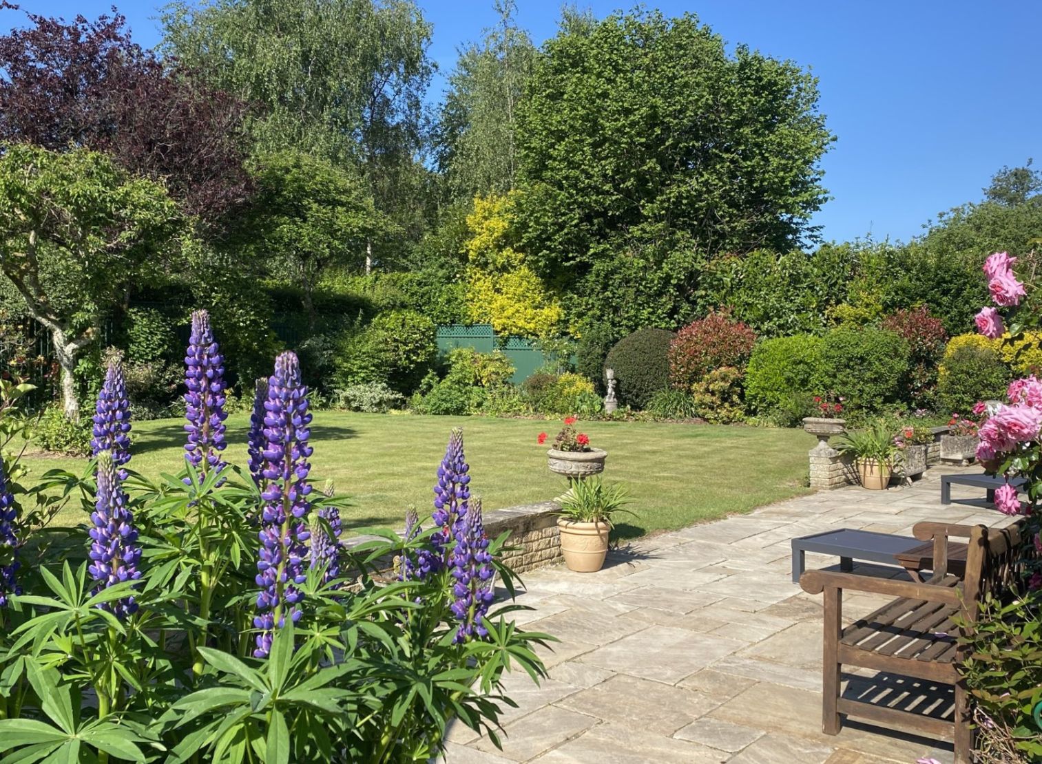 Garden