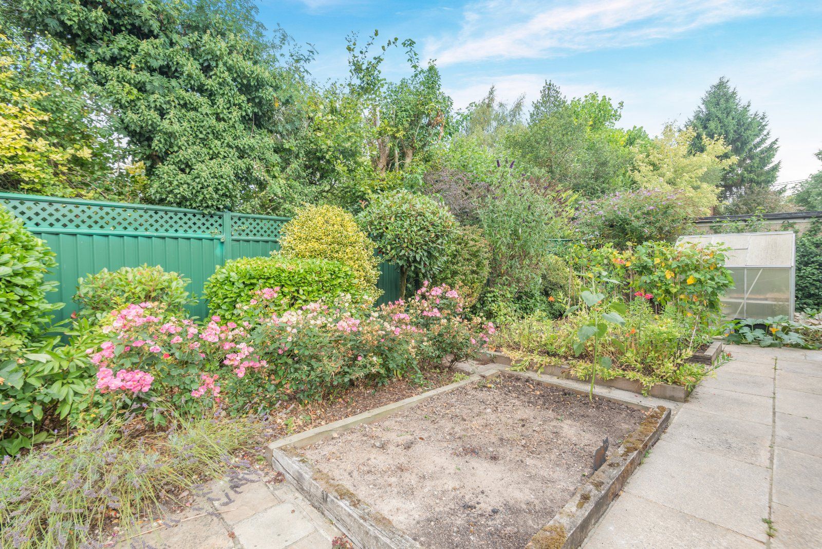 Vegetable Garden
