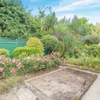 Vegetable Garden