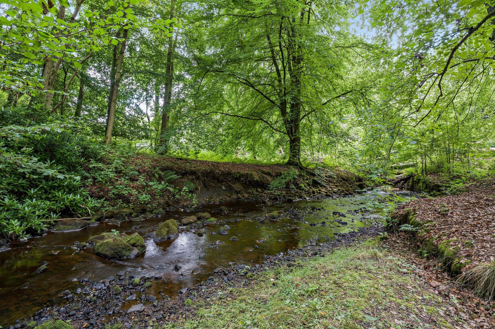 Harwood Water