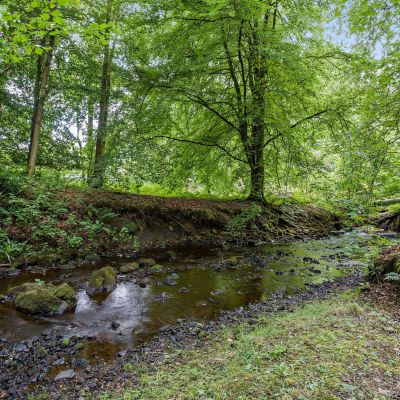 Harwood Water