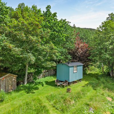 Craskie
