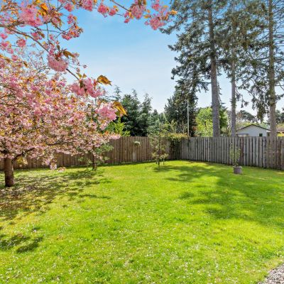 3 Lodge Park