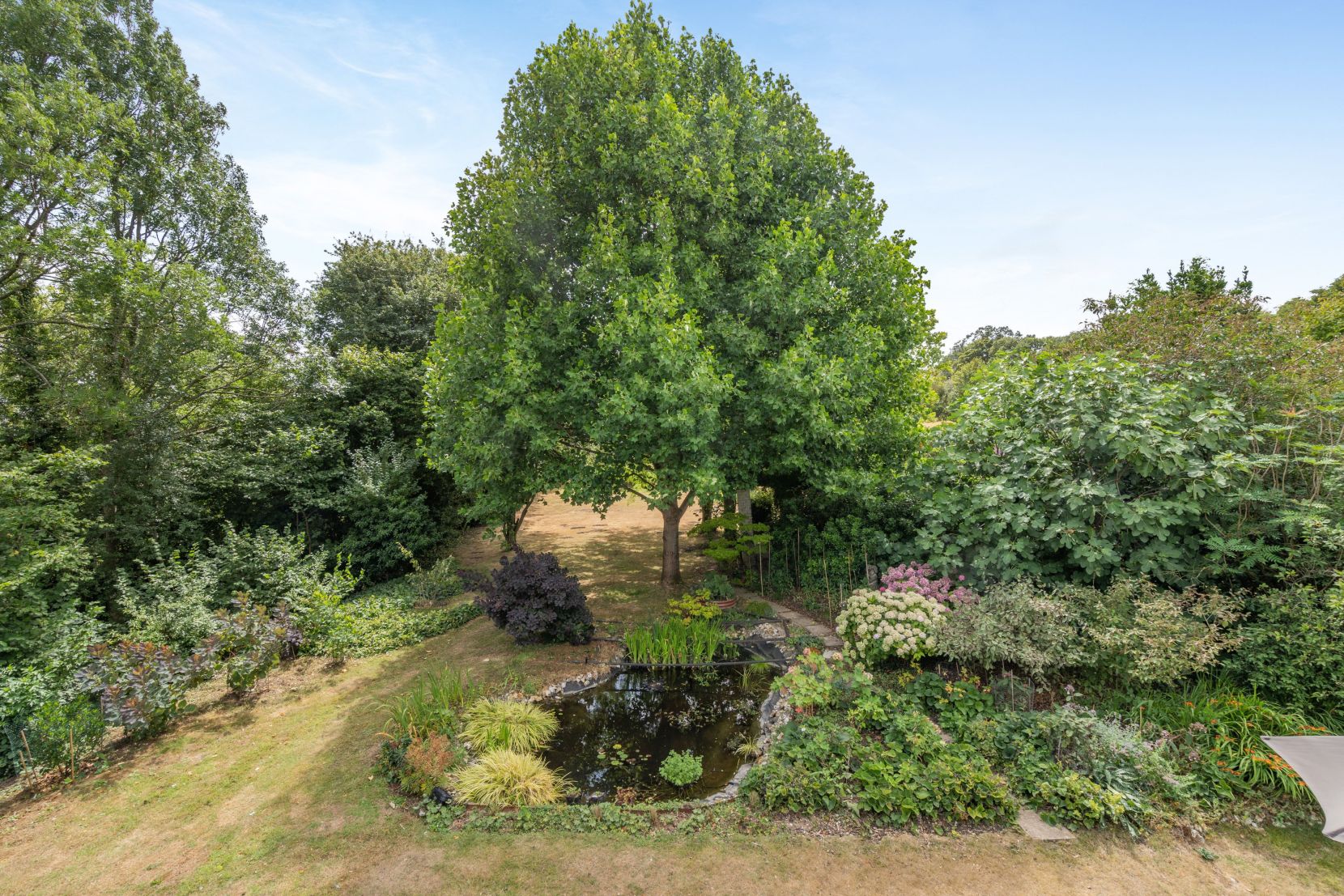 Grounds