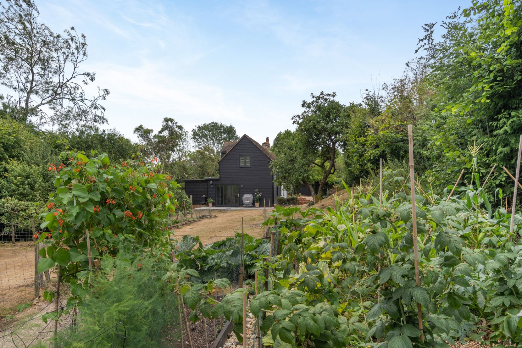 Grounds