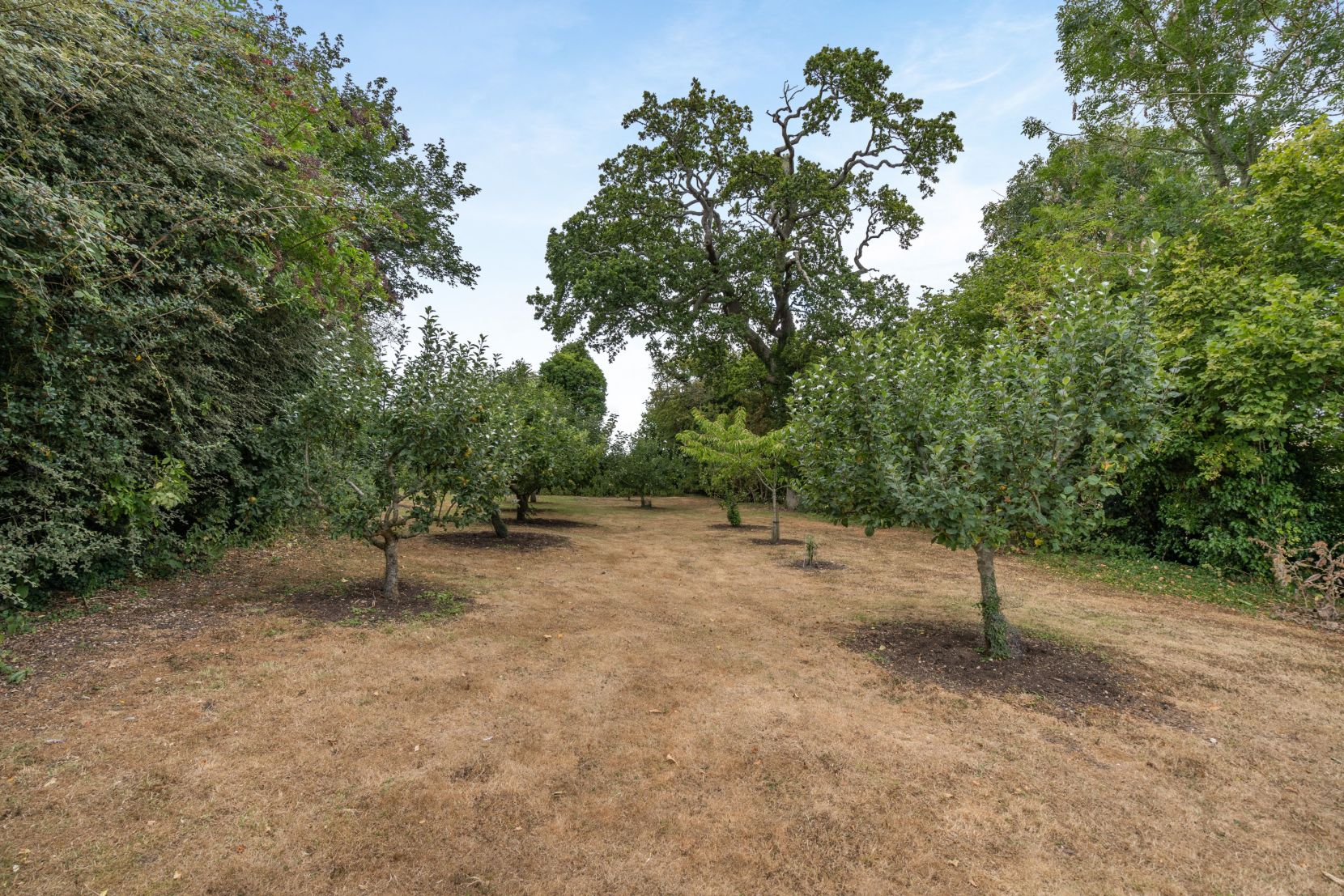 Grounds