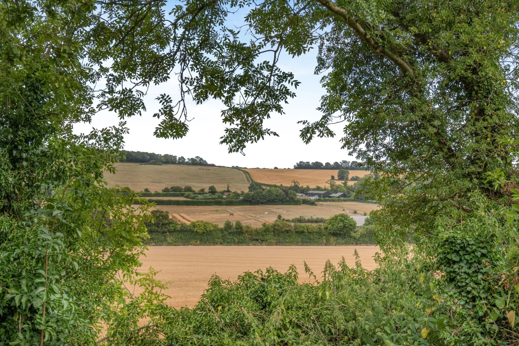 Grounds