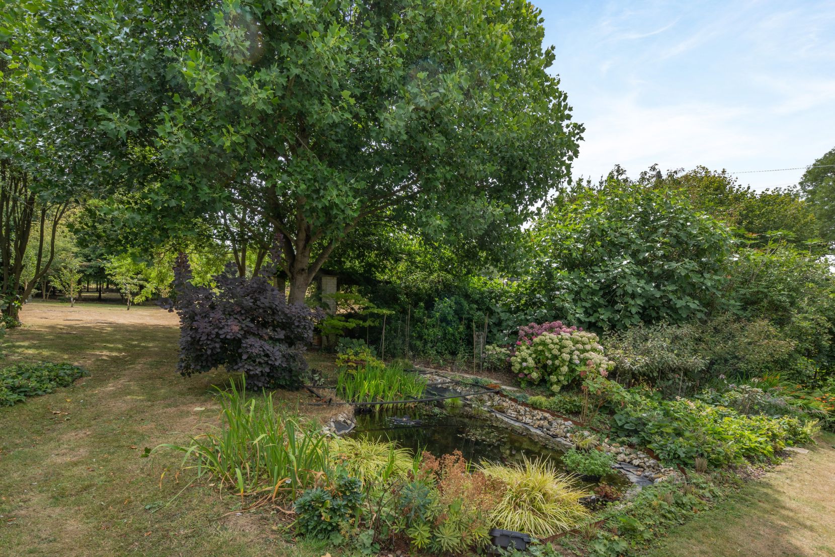 Grounds