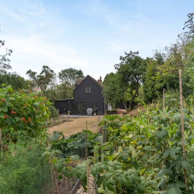 Grounds