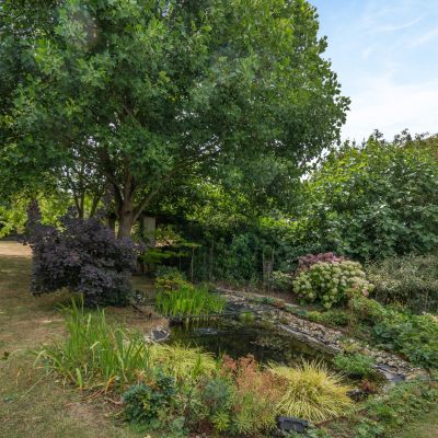 Grounds